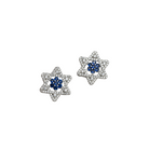 "Blue zircon stud earrings with a starry design add vibrant color and elegant sparkle to your style."
