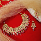 Elegant gold-tone choker necklace set with matching earrings, perfect for festive occasions
